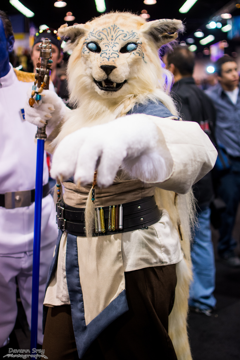 Illustration for article titled The Most Incredible Cosplay From This Weekend's Star Wars Celebration!